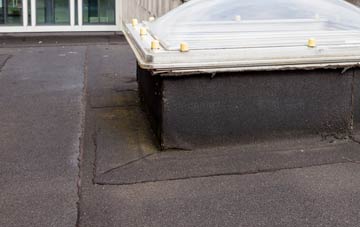 disadvantages of Upleatham flat roofs