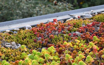 the cost of Upleatham green roof installation