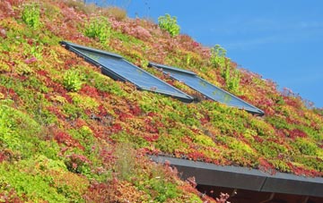 Upleatham living roof systems