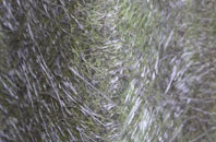 Upleatham fibreglass roof work